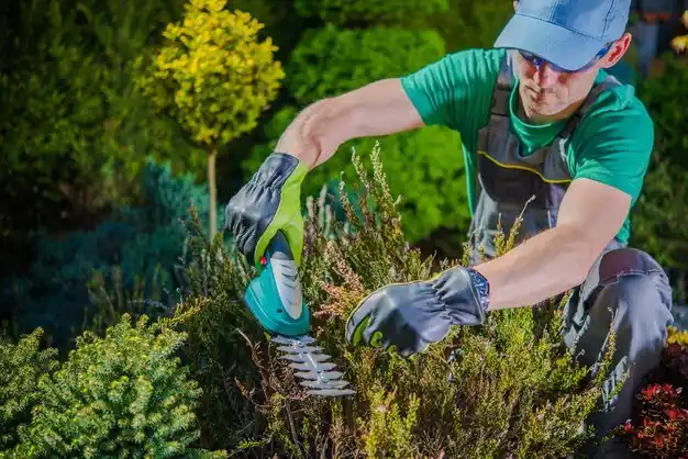 landscaping services Keuka Park